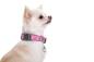 Preview: DOOG - Neoprene Dog Collar Toto Gr. S